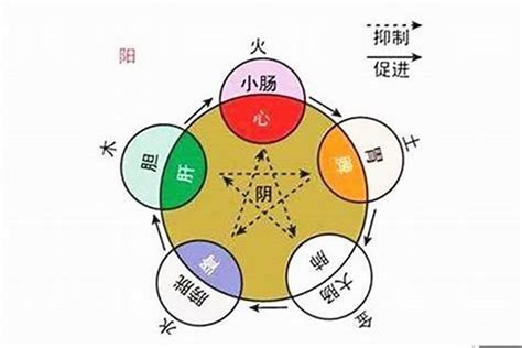 五行金火|浅析五行中的金到底是什么？